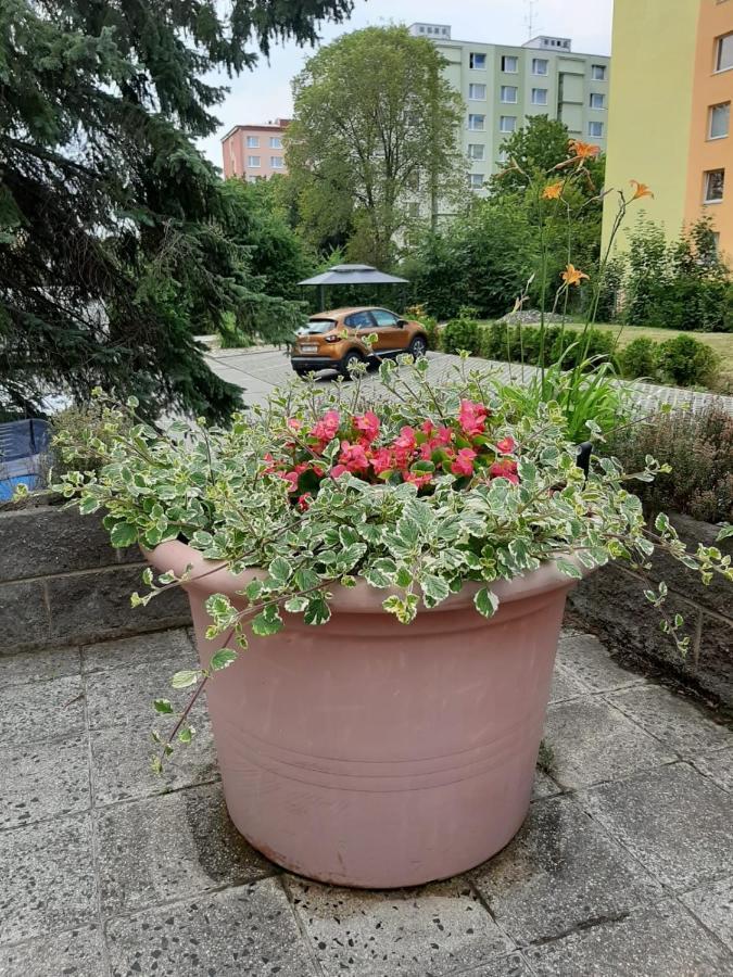 Kvetinovy Apartman A3B V Chomutove Exterior foto